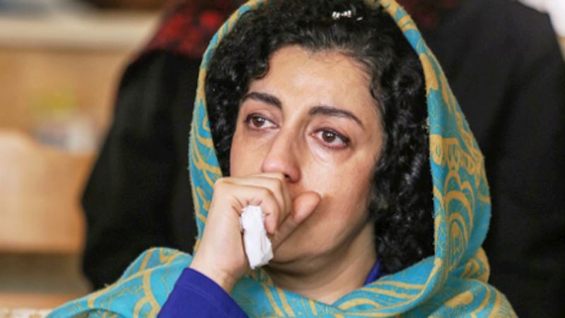 نرگس محمدی: برای آزادی فعالان محیط زیست تلاش کنیم