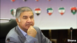 حسین کاظم‌پور اردبیلی، نماینده ایران در سازمان کشورهای صادرکننده نفت، اوپک