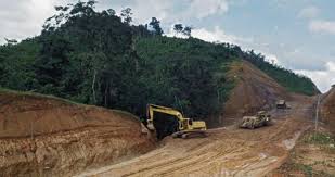 نابودی جنگل های مازندران