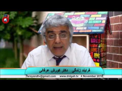 فرآیند زندگی: معجزه چیست؟ ریاکاری  درک تکامل موجودات زنده، استفاده از مغز برای کشف حقیقت